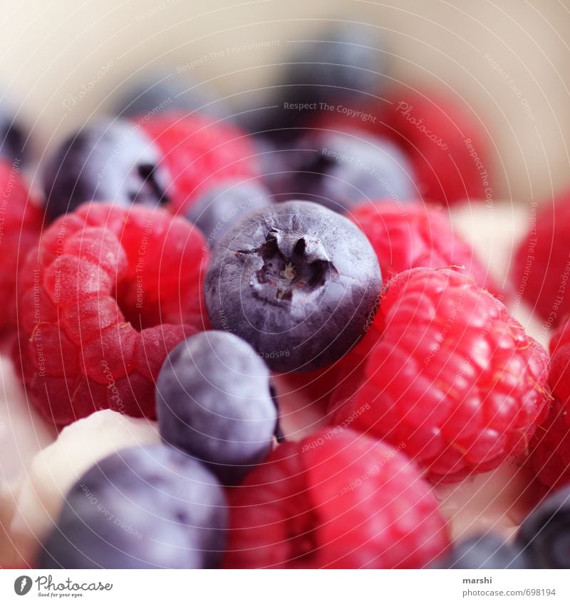 vitamins Food Fruit Nutrition Moody Blueberry Raspberry Berries Delicious Appetite Vitamin Healthy Fruit salad Colour photo Interior shot Close-up Detail