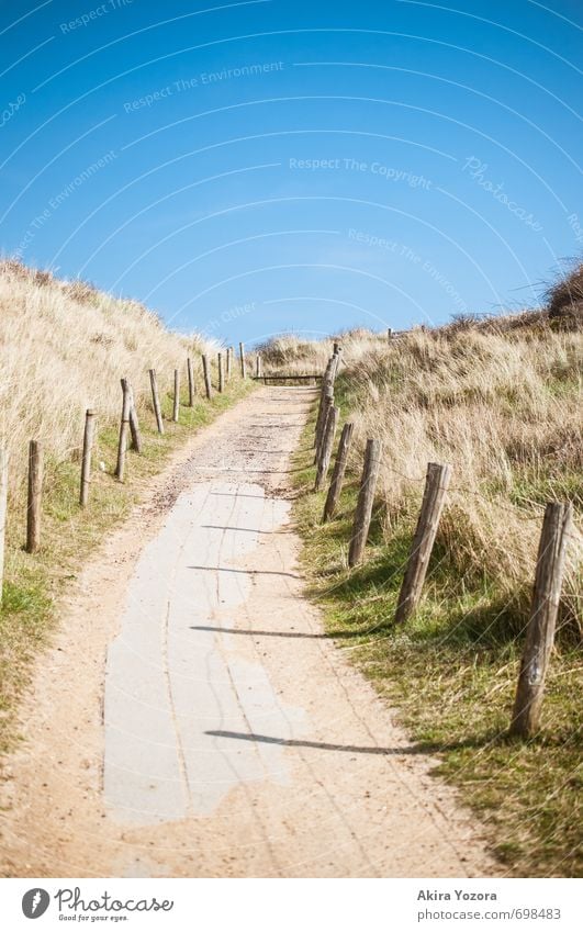 away to the blue Nature Landscape Sky Grass Bushes Relaxation Growth Natural Blue Brown Gray Green Idyll Calm Lanes & trails Dune Fence Colour photo