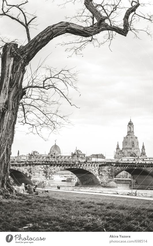[250] Good old Dresden Sky Clouds Spring Tree Grass Meadow River bank Germany Town Capital city Old town Church Bridge Architecture Tourist Attraction