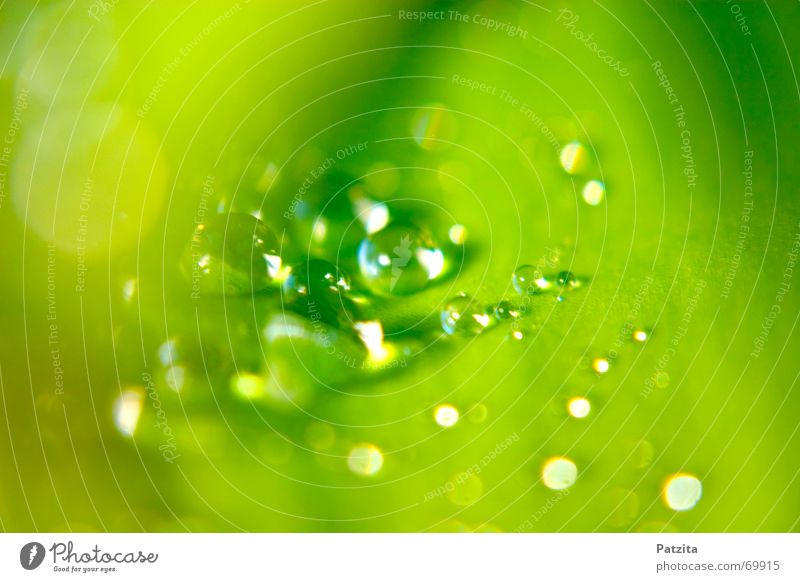 drop background Background picture Abstract Green Yellow Light Reflection Drops of water Leaf Water Colour