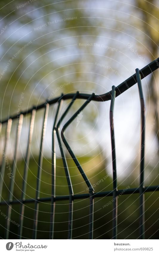 You won that bet. Garden Environment Sky Beautiful weather Tree Park Fence Metal Line Sharp-edged Broken Green Colour photo Exterior shot Structures and shapes