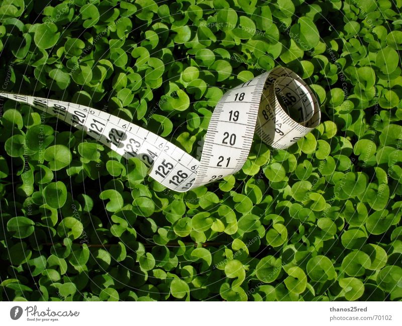 green measuring... Clever Nature Trifili measure grass mezoura xorto