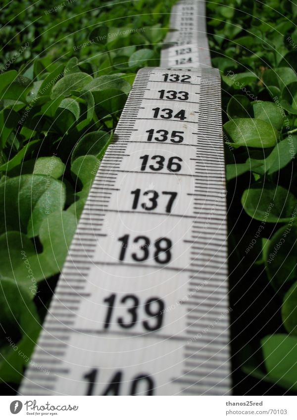 measuring matters Clever Nature Trifili measure grass mezoura xorto