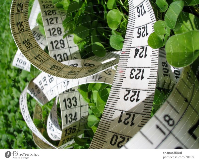 measuring nature Clever Nature Trifili measure grass mezoura xorto