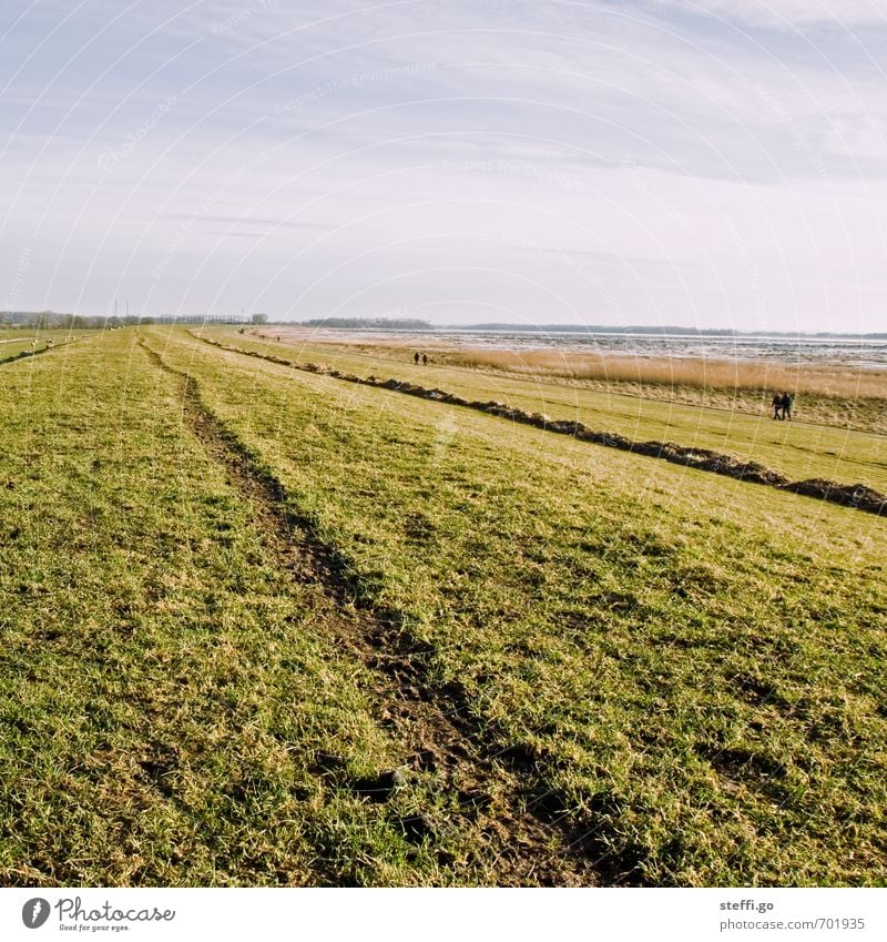 dike walk Hiking Human being Nature Landscape Grass Meadow Hill North Sea Baltic Sea Observe Relaxation Going Far-off places Infinity Serene Calm Contentment