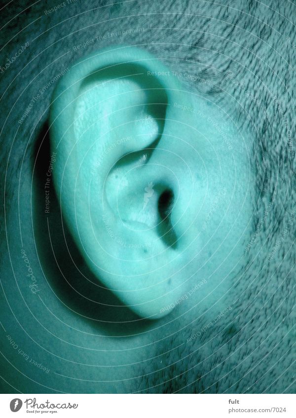 The ear Human being Ear