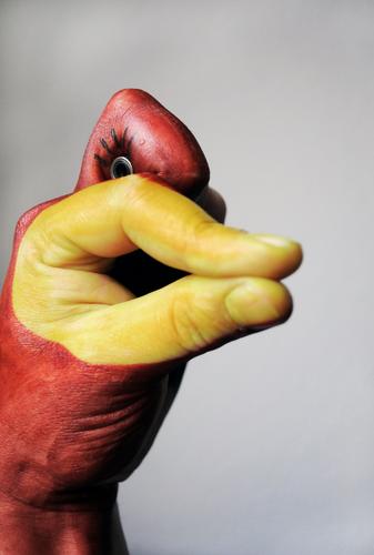 Hand Duck Animal Joy Idea Inspiration Art Painted Eyes Creativity Painting (action, artwork) Beak Fingers Comic Comic strip character Bird Funny Arm