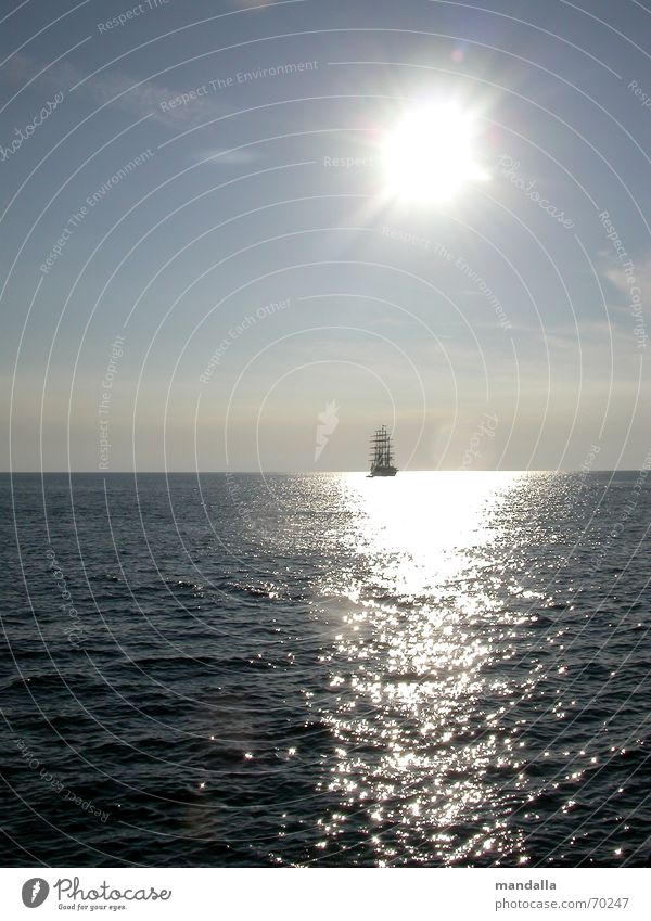 where Sailing Watercraft Sailboat Ocean Horizon Summer Evening sun Light Far-off places Wanderlust Calm Croatia Waves Infinity Dream Longing Harmonious Blue sky