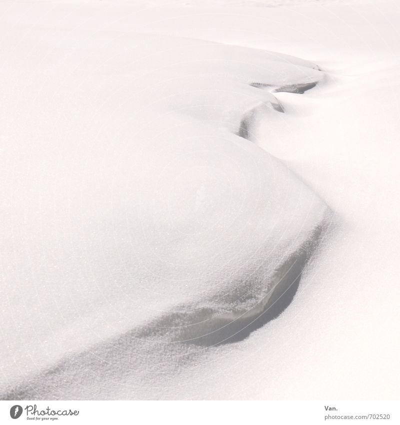 windswept Nature Winter Snow Snowdrift Cold White Wiggly line Colour photo Exterior shot Detail Structures and shapes Deserted Copy Space left Copy Space top