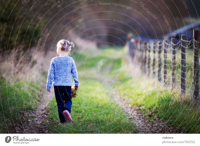time. to dream Human being Feminine Child Girl Infancy Life 1 3 - 8 years Environment Nature Spring Autumn Beautiful weather Meadow Forest Discover Relaxation