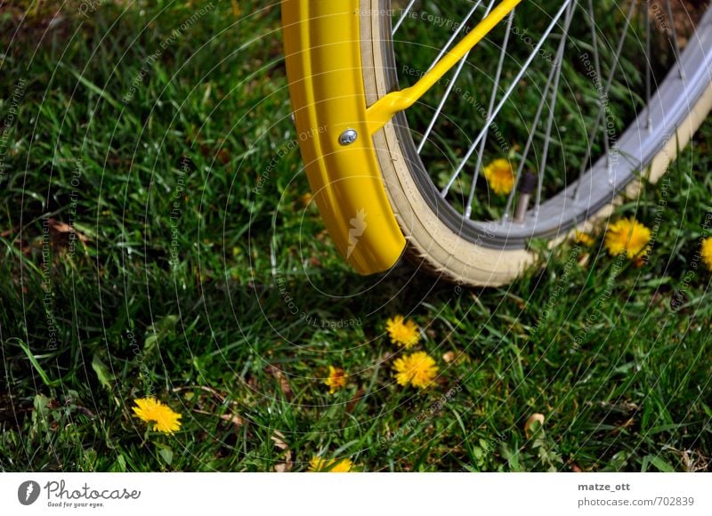 yellow and green Fitness Leisure and hobbies Trip Cycling tour Summer Sports Sports Training Bicycle Tire tread Environment Nature Flower Grass Meadow Discover