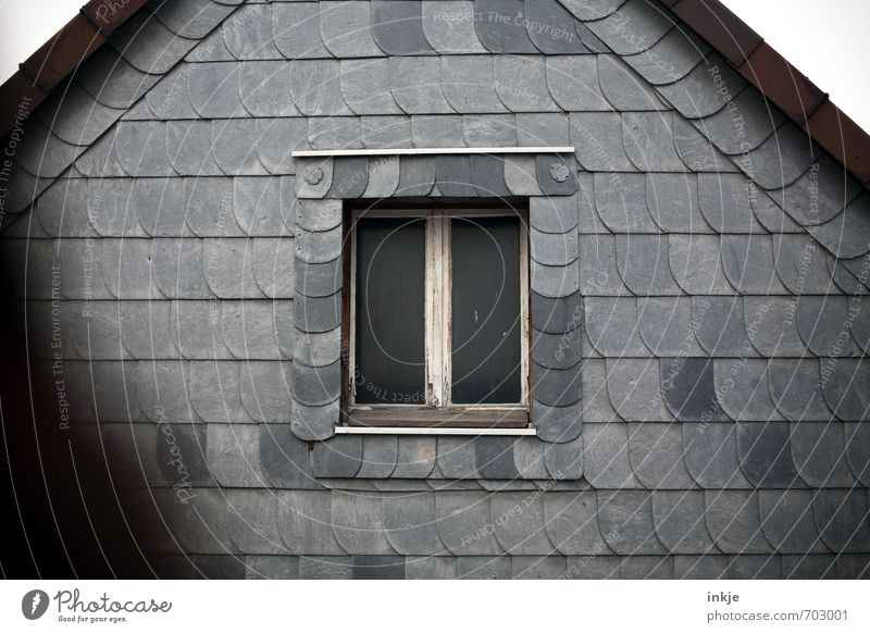 Anonymous Deserted House (Residential Structure) Facade Window Roof Roof ridge Wall (building) Weather protection Prefab construction Silicate mineral