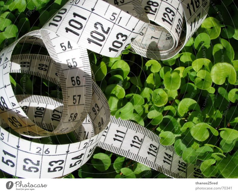 measuring measure grass small high low numbering