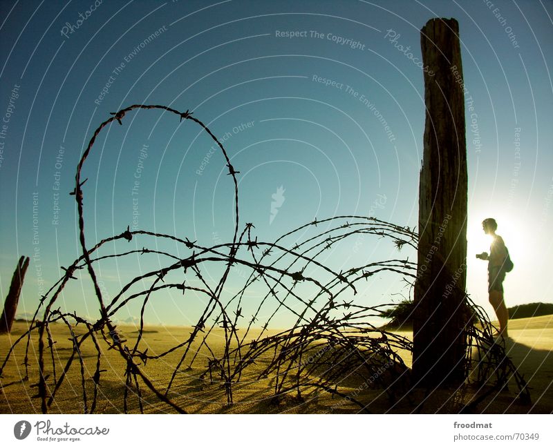 barbed wire Photographer Back-light Barbed wire Summer Fence Barrier Brazil Thorny Beach Hiking In transit South America Desert Sand Sun Shadow Silhouette