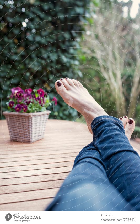 The season is open Well-being Relaxation Living or residing Woman Adults 1 Human being 45 - 60 years Spring Garden Jeans Authentic Contentment Feet Pot plant