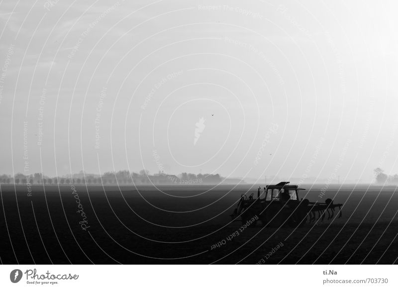 Land and economy Machinery Agriculture Farmer Agricultural machine Tractor Landscape Spring Beautiful weather Fog Field Dithmarschen Work and employment Driving