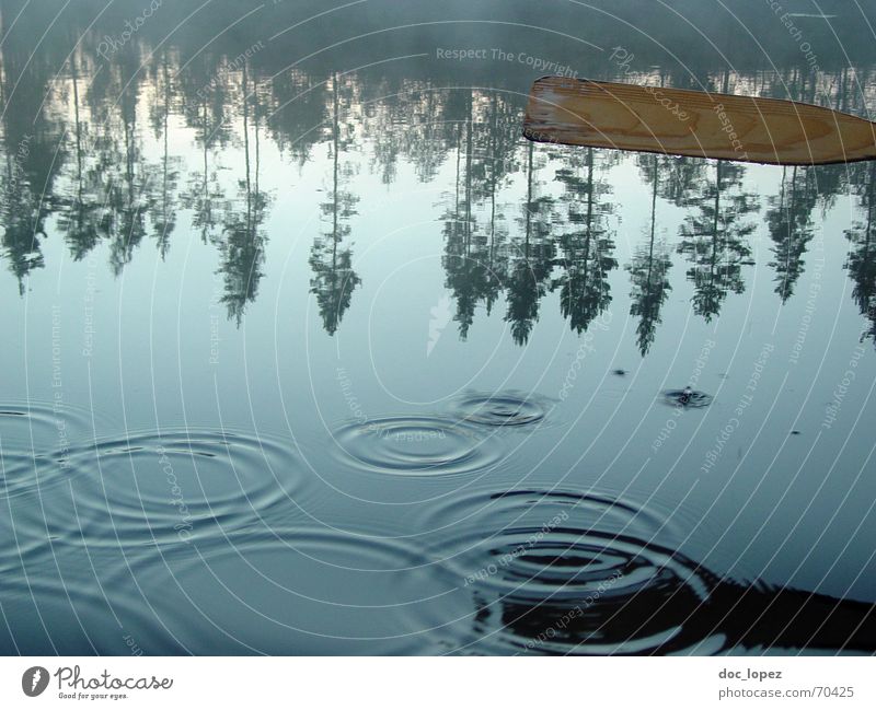 water level circles Calm Water Drops of water Tree Coast Lake Smooth Finland Paddle water circles Reflection Float in the water Surface of water