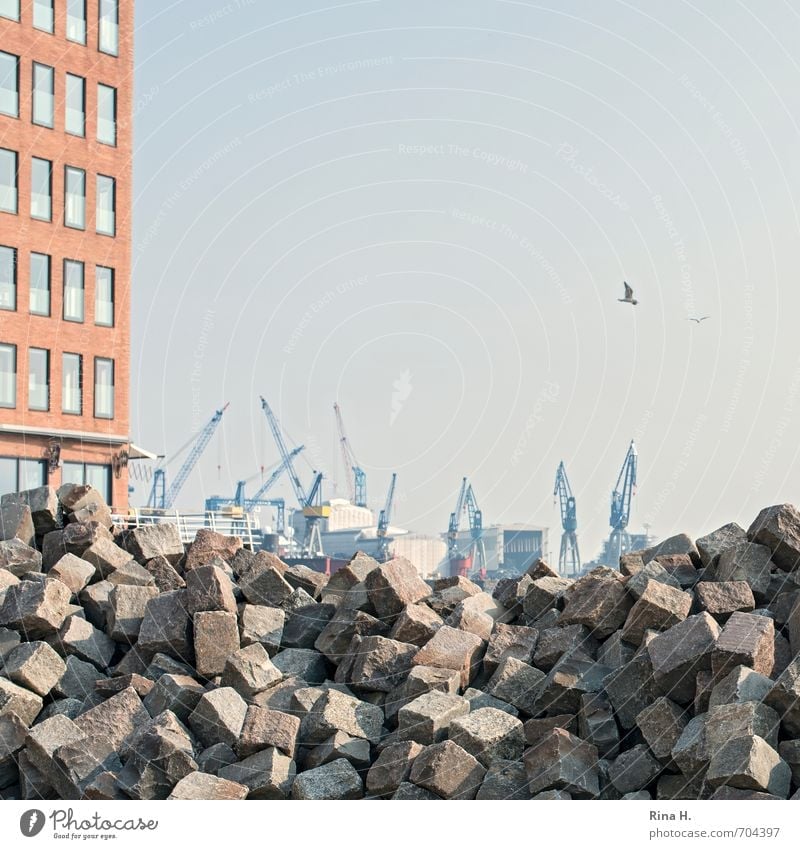 A lot to do Construction site Industry Hamburg High-rise Facade Harbour Authentic Paving stone Heap Crane Square Granite Pile of stones Colour photo