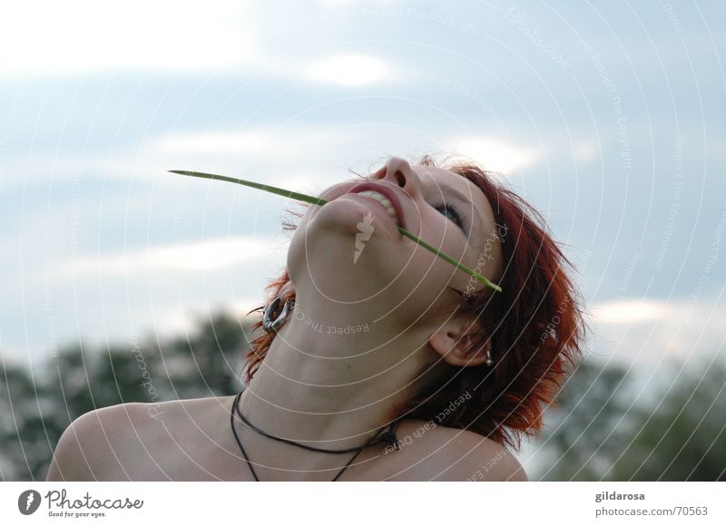 bride of the wind Blade of grass Clouds Red-haired Tree Woman Corner of the mouth Grass Fresh Sky Nature Freedom white skin Landscape Eyes Mouth Nose gag Happy