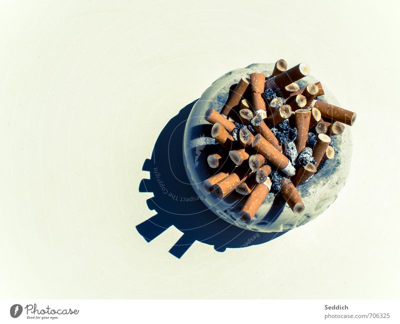 Boundaries in many ways Healthy Health care Illness Smoking Art Dirty Disgust Vice Death Ashtray Cigarette Cigarette Butt Colour photo Exterior shot