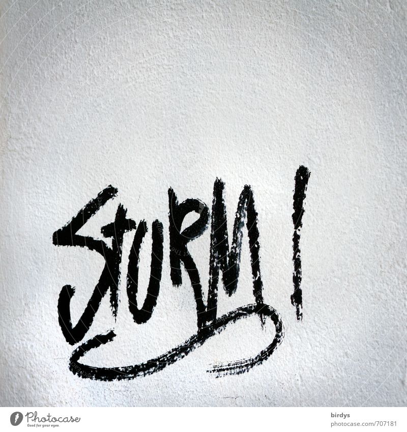 " Storm ! ", writing, graffiti on a white wall Gale excitement Force of nature Graffiti Energy Characters Resolve Black White Wall (building) Typography