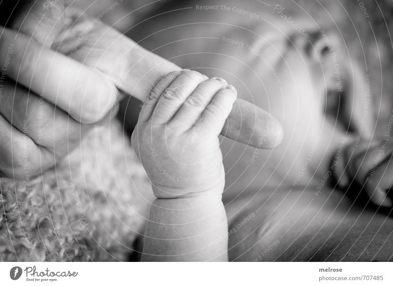 hold on to ... Child Baby Boy (child) Mother Adults Mouth Hand Fingers Forefinger 2 Human being 0 - 12 months Touch To hold on Happy Cute Black White Emotions