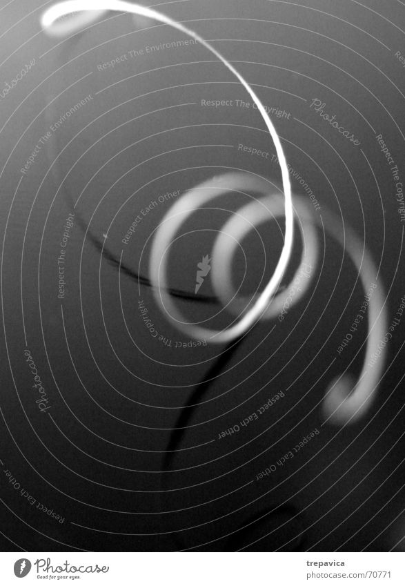 movement Curl Spiral Stripe Mirror Light Black & white photo abstract Contrast white line Line Feather reflection Alluring