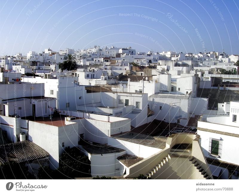 roof terraces Cadiz House (Residential Structure) Roof Roof terrace Town Spain Physics Summer White Facade Window Warmth typical for the country Stairs Sky Blue