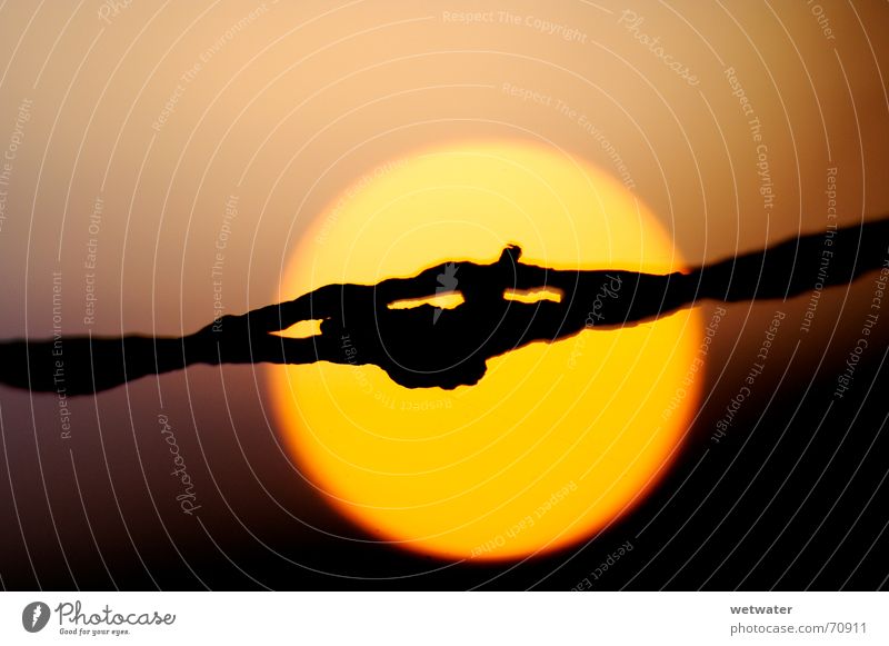 Barbed wire in front of the sun Yellow Blur Romance Black Sunset barb wire shadow Orange dof dark sunset