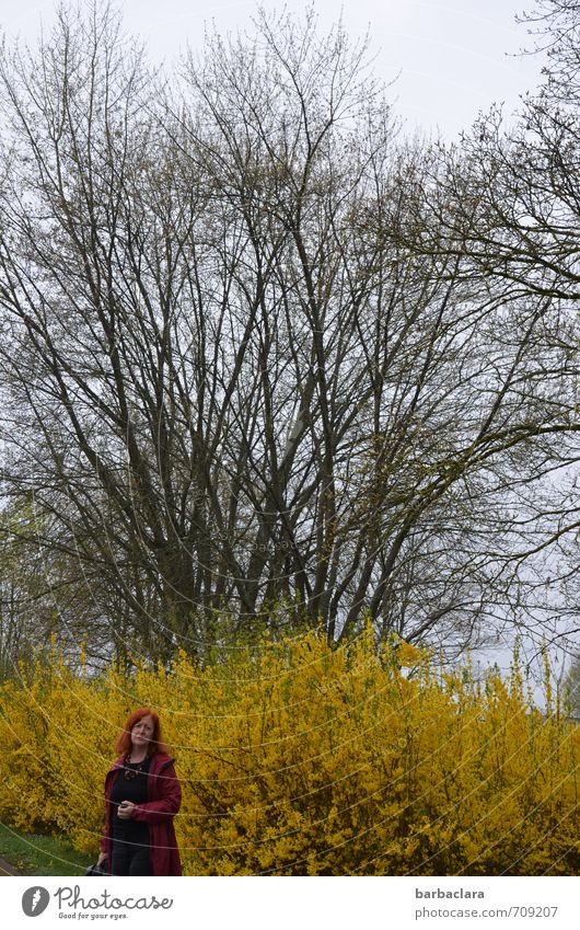 AST 7 | colorful Feminine Woman Adults 1 Human being Landscape Plant Spring Tree Bushes Park Coat Red-haired Looking Stand Large Moody Spring fever Colour