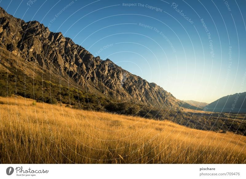 Remarkables / Day Nature Landscape Cloudless sky Sunrise Sunset Beautiful weather Meadow Mountain Exceptional Adventure Vacation & Travel New Zealand