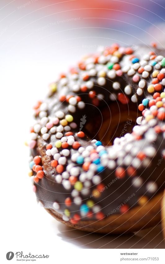 mini donut Donut Baked goods Sweet Chocolate Delicious Dessert Multicoloured Round Nutrition Food Calorie Sugar Small Love pearl To enjoy colourful depth blur