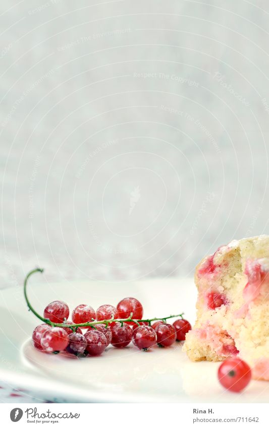 anticipation Fruit Dough Baked goods Plate Bright Delicious Sour Sweet To enjoy Muffin Redcurrant Colour photo Deserted Copy Space top Copy Space middle