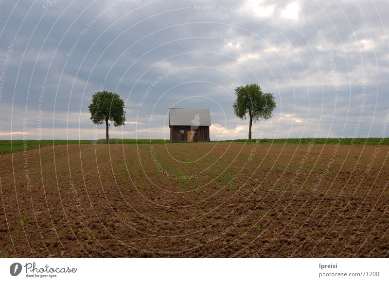 country Loneliness House (Residential Structure) Tree Field Dark Clouds Bad weather Americas Sky