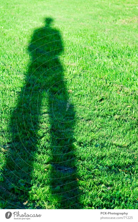 shadow man Green Meadow Man Long Direction Road marking Shadow stilt man Perspective