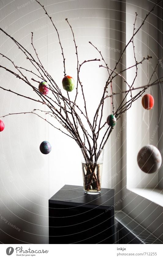 :-) Lifestyle Style Living or residing Decoration Easter Spring Branch Twigs and branches Window Vase Flower vase Hang Simple Beautiful Multicoloured Emotions