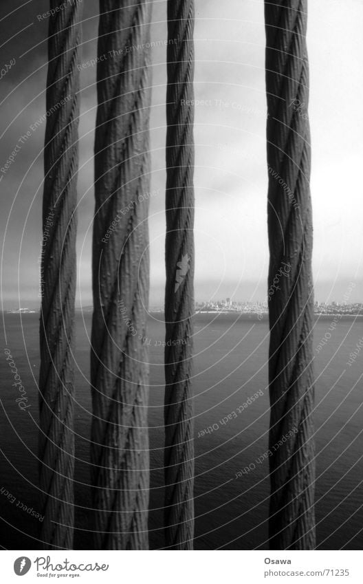 Golden Gate 1 Golden Gate Bridge Clouds Ocean San Francisco Vista bruclke Cable Rope Wire cable Electricity Sky Bay