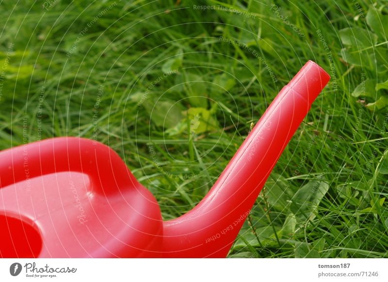 red elephant Watering can Red Green Meadow Grass Cast Contrast complimentary
