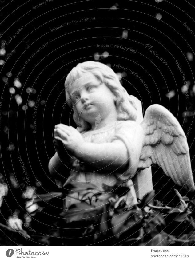 parted Cute Cemetery Grave Child Oberammergau Ivy Grief Funeral Angel Black & white photo Sadness