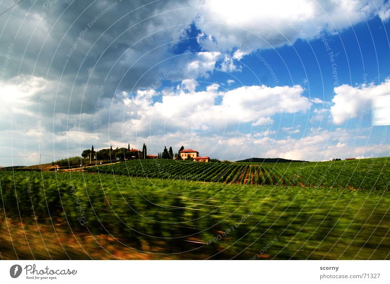 In the ecstasy of Tuscany Far-off places Freedom Summer House (Residential Structure) Landscape Plant Sky Clouds Beautiful weather Bushes Field Hill Village