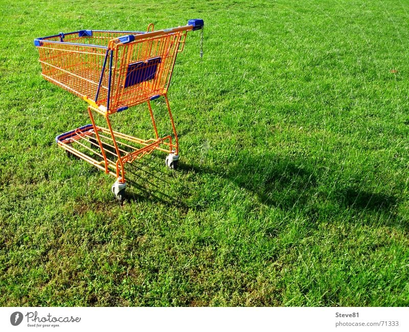 Eco Shopping 1 Shopping Trolley Meadow Green Grass Trade Supermarket Food Livelihood Leisure and hobbies Retail sector Wholesale trade Consumption Nature