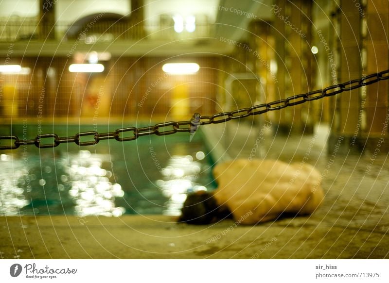 HALLE/S.-TOUR | Crime scene Fitness Swimming pool Back Bottom Stadtbad Halle Lie Dream Wait Cry Old Poverty Dark Eroticism Historic Cold Broken Muscular Naked
