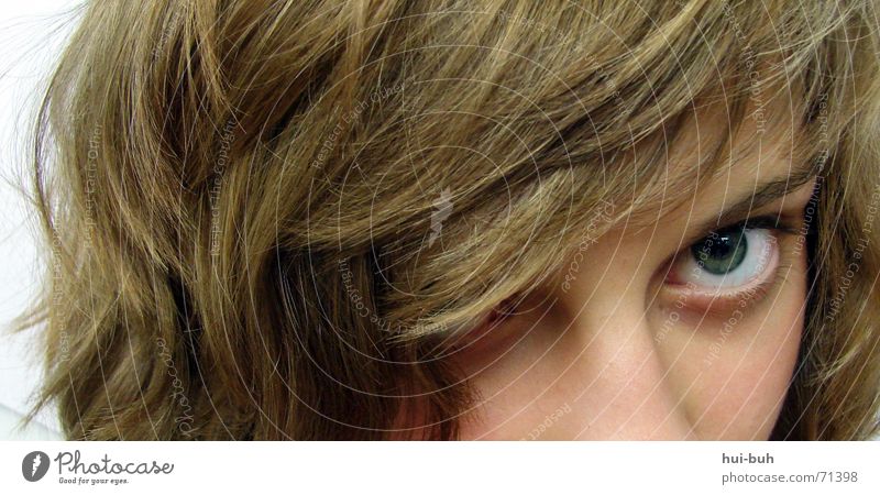 observation Hair and hairstyles Gap Misunderstanding Tilt Eyes Detail Bangs eyebrown Nose Human being Fear Mistrust