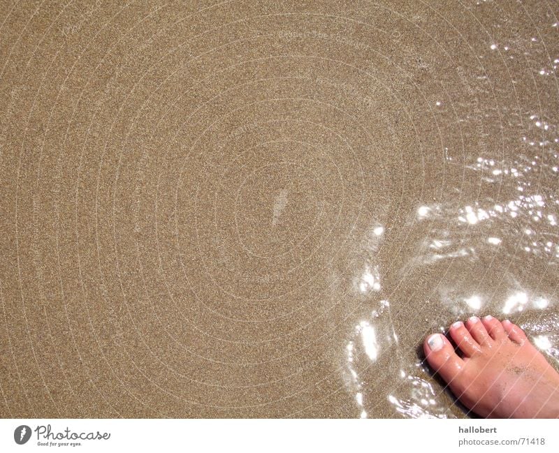 beach foot Beach Toes Ocean Vacation & Travel Coast Summer Feet Water Sand Barefoot