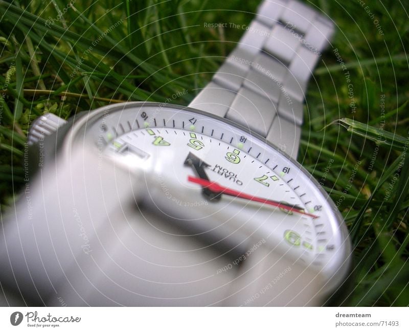 clock grass Clock Chrome Grass Time Digits and numbers Green Bracelet Joint Hand Silver Metal Clock hand Lawn Glass String Macro (Extreme close-up) Circle