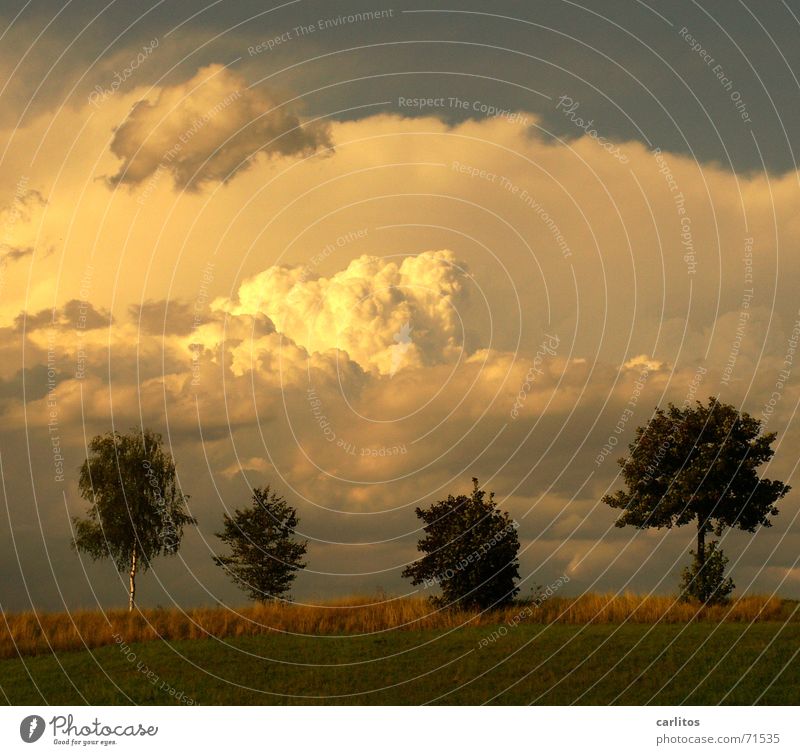&lt;font color="#ffff00"&gt;-==- sync:ßÇÈâÈâ Contentment Clouds Cloud pattern in the seventh heaven in 7th heaven Happy Peace Landscape Sky