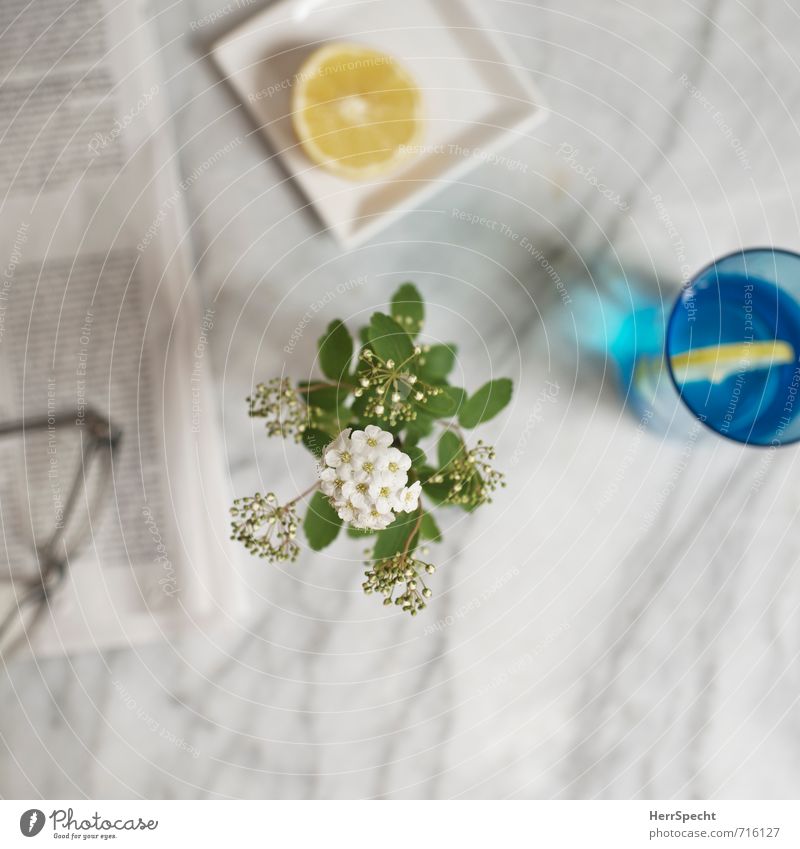 At the Marble Table II Beverage Cold drink Drinking water Living or residing Flat (apartment) Simple Gray White Slice of lemon Lemon Glass Tumbler Newspaper