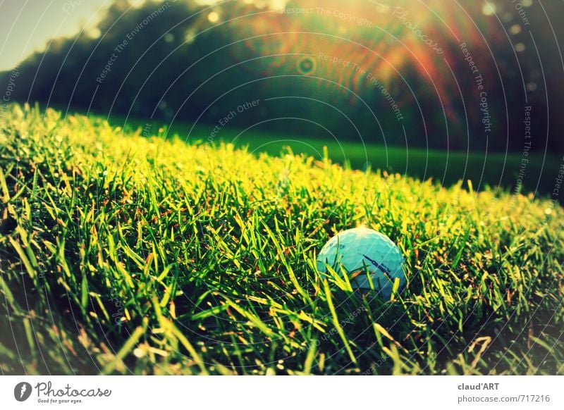Golf ball in the sun Leisure and hobbies Mini golf Sports Ball sports Golf course Nature Grass Meadow Success Hip & trendy Athletic Green