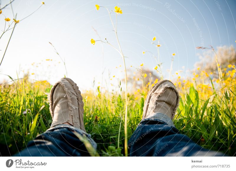 Meadow loungers deluxe Lifestyle Happy Human being Legs Feet 1 Nature Sky Spring Grass Blossom Foliage plant Jeans Footwear cloth shoes Relaxation Lie Fresh