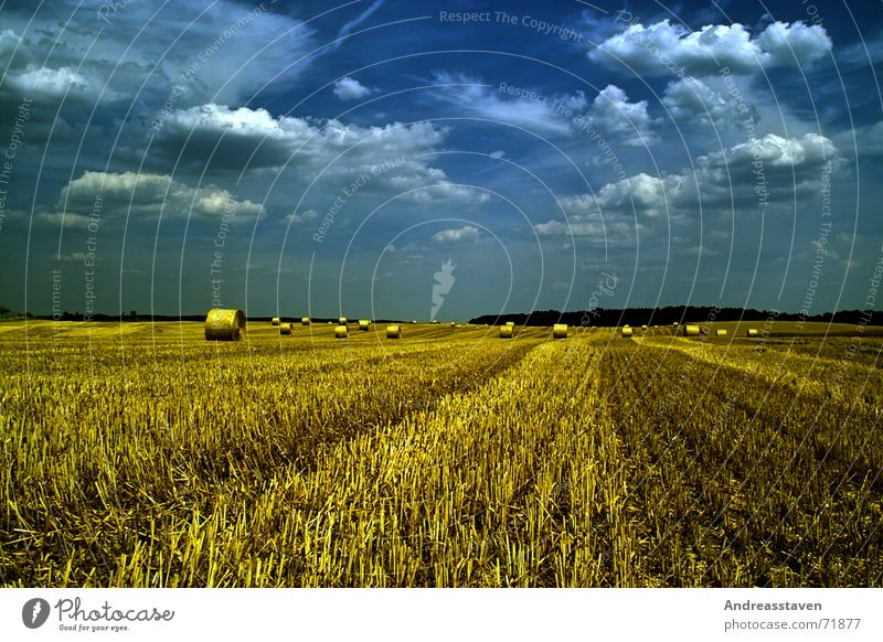 field Field Summer Grass Sky Clouds Background picture Lawn Blue wallpapers sun grey